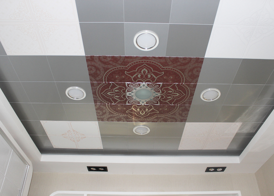 Üçüncü boyut Sanatsal Tavan, Konut tavan plakaları 350mm x 550mm